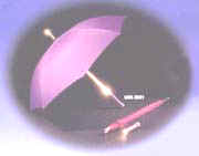 Torch shaft & cap umbrella